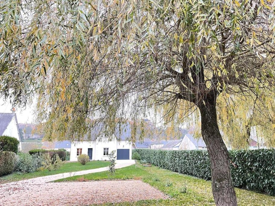 Havre De Paix Spa Proche Amboise & Chateaux De La Loire Noizay Buitenkant foto